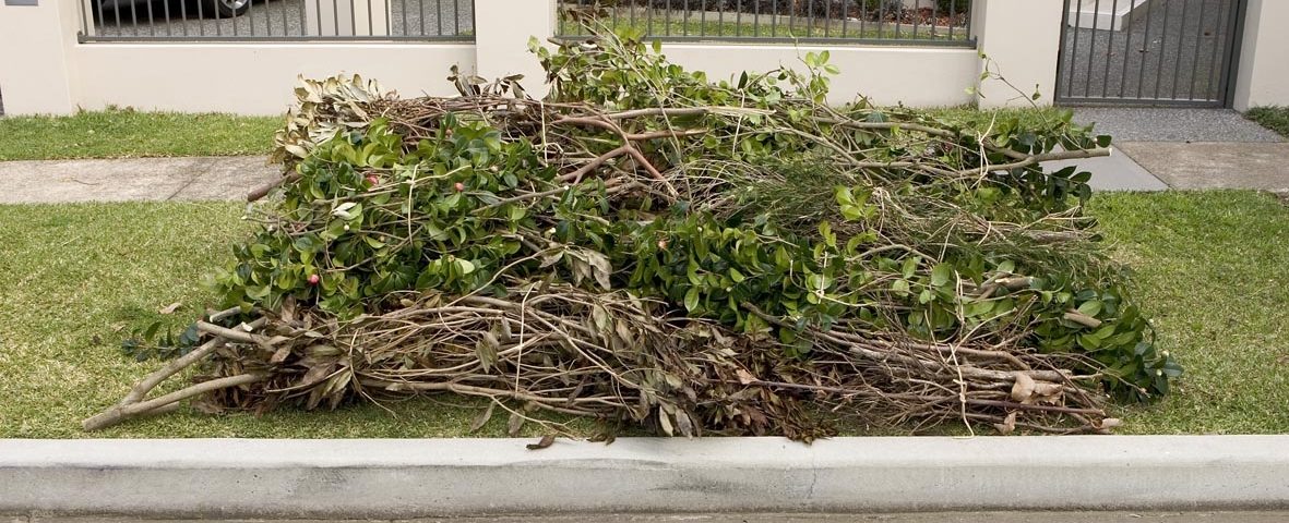 Garden branches on lawn for removal