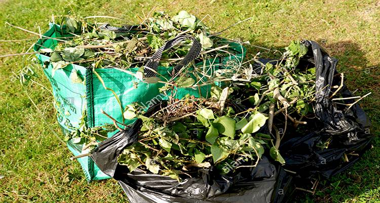 Green garden waste in bags