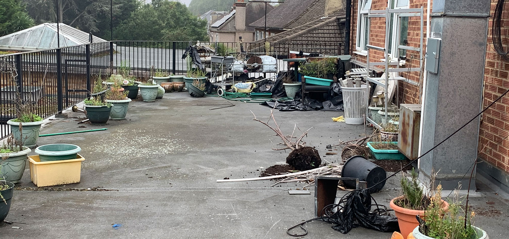 Property yard clearance service